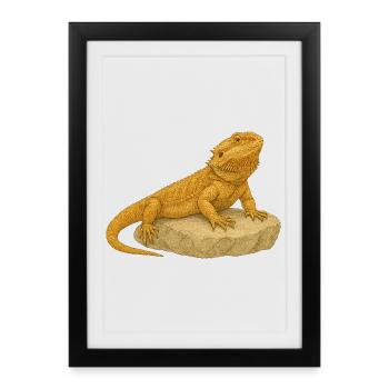 Gecko jaune sur rochers - Affiche encadrée (27 × 37 cm) - noir - Devant
