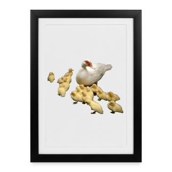 Canard volant avec des poussins - Affiche encadrée (27 × 37 cm) - noir - Devant