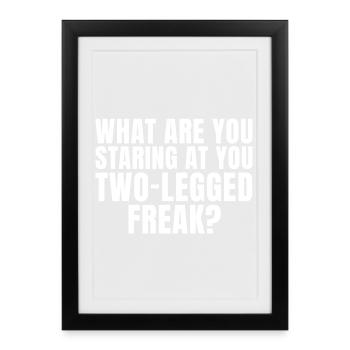 Why are you staring at me like that, you two-legged freak? - Framed poster (27 × 37 cm) - black - Front