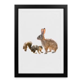 Eichhörnchen, Kaninchen, Waldfreunde, Fotografie - Gerahmtes Poster (27 × 37 cm) - Schwarz - Vorne