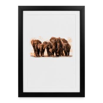 Eléphants - Affiche encadrée (27 × 37 cm) - noir - Devant