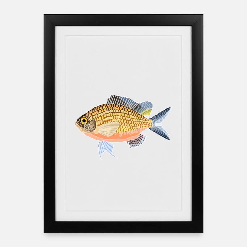 Mönchsfisch - Gerahmtes Poster (27 × 37 cm) - Schwarz