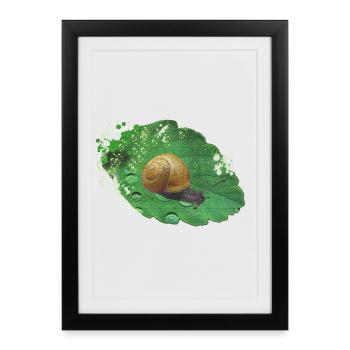 Green Leaf Snail Art - Framed poster (27 × 37 cm) - black - Front
