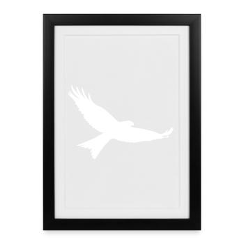 Oiseau de proie en blanc - Affiche encadrée (27 × 37 cm) - noir - Devant