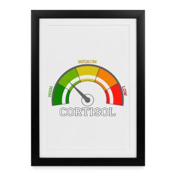 Funny Low cortisol Hilarious Stress Free Cortisol - Affiche encadrée (27 × 37 cm) - noir - Devant
