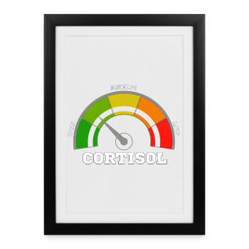 Funny Low cortisol Hilarious Stress Free Cortisol - Affiche encadrée (27 × 37 cm) - noir - Devant