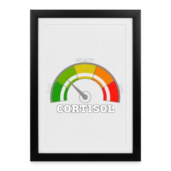 Funny Low cortisol Hilarious Stress Free Cortisol - Affiche encadrée (27 × 37 cm) - noir - Devant