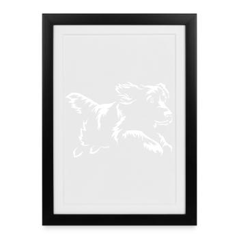 Boykin Spaniel « Édition Noire » - Affiche encadrée (27 × 37 cm) - noir - Devant