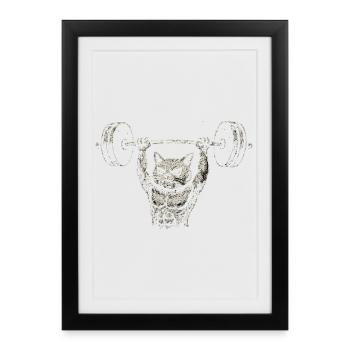 Cat Fitness Gym Weight Lifting Weight Lifting - Framed poster (27 × 37 cm) - black - Front