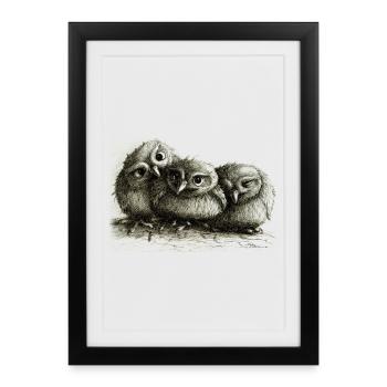three young owls - Framed poster (27 × 37 cm) - black - Front