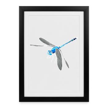 Libellule - Affiche encadrée (27 × 37 cm) - noir - Devant