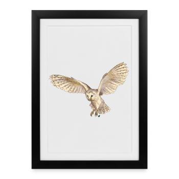 Beautiful barn owl in flight - Framed poster (27 × 37 cm) - black - Front