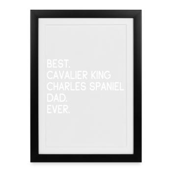 Cavalier King Charles Spaniel - Affiche encadrée (27 × 37 cm) - noir - Devant