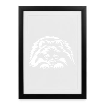 Poméranie « Édition Noire » - Affiche encadrée (27 × 37 cm) - noir - Devant