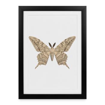 White Witch Moth Thysania agrippina Cartoon Style - Framed poster (27 × 37 cm) - black - Front