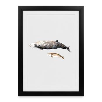 baleine à bec de Cuvier - baleine à bec baleine à bec de Cuvier - Affiche encadrée (27 × 37 cm) - noir - Devant