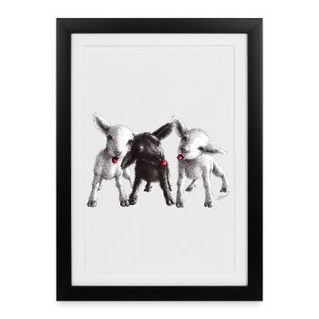 mouton effronté - Affiche encadrée (27 × 37 cm) - noir - Devant