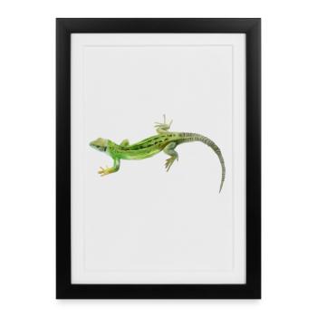 Motif vert gecko - Affiche encadrée (27 × 37 cm) - noir - Devant