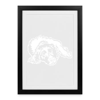Munsterländer "Black Edition" - Affiche encadrée (27 × 37 cm) - noir - Devant