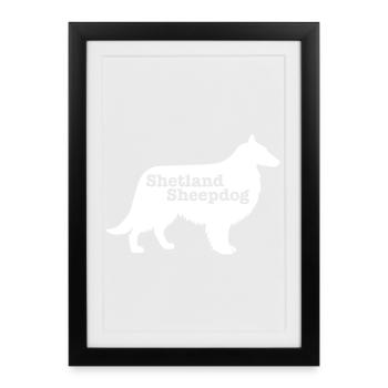 Shetland Sheepdog - Framed poster (27 × 37 cm) - black - Front