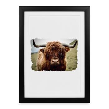 Bovins des Highlands - Affiche encadrée (27 × 37 cm) - noir - Devant