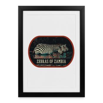 Zèbres de Zambie en pleine savane africaine - Affiche encadrée (27 × 37 cm) - noir - Devant