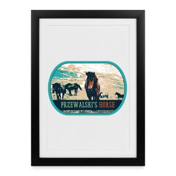 Chevaux de Przewalski en liberté – Pologne - Affiche encadrée (27 × 37 cm) - noir - Devant