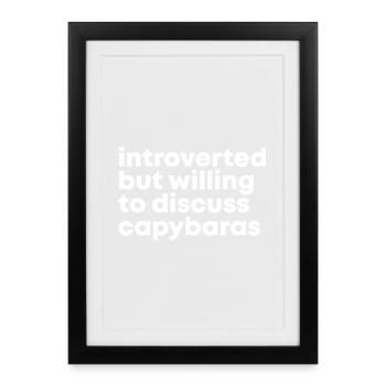 Capybara Capybara Capybara - Affiche encadrée (27 × 37 cm) - noir - Devant