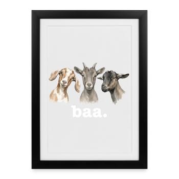 Chèvre bêlant, chèvre drôle, amant drôle, souplant - Affiche encadrée (27 × 37 cm) - noir - Devant