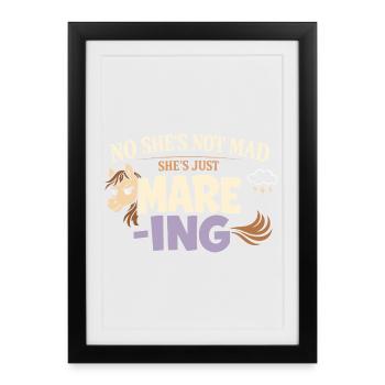 Horse Mood Humor Experienced Horse Owner - Framed poster (27 × 37 cm) - black - Front
