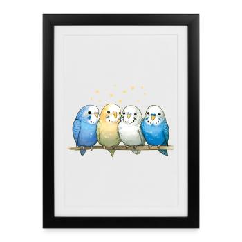 Budgie group - Framed poster (27 × 37 cm) - black - Front