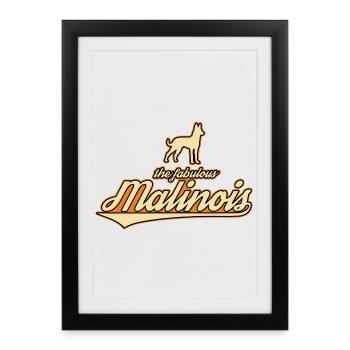 Les fabuleuses Maliniois - Affiche encadrée (27 × 37 cm) - noir - Devant