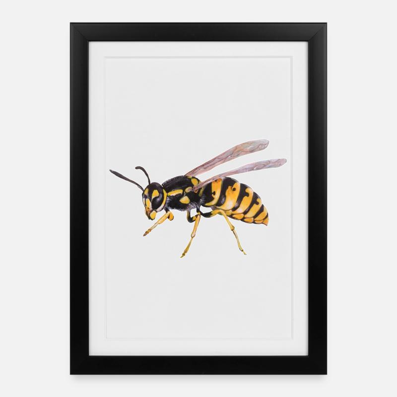 Wespe  - Gerahmtes Poster (27 × 37 cm) - Schwarz
