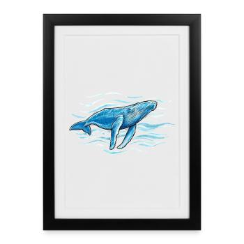 Baleine à bosse - Affiche encadrée (27 × 37 cm) - noir - Devant