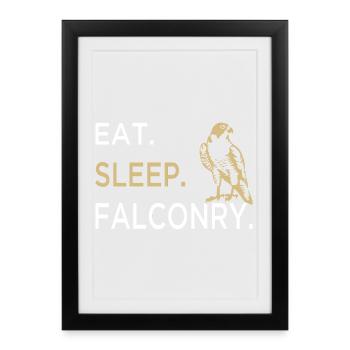 Falconry Falconer Falconer Falconer Falconry Bird of Prey - Framed poster (27 × 37 cm) - black - Front