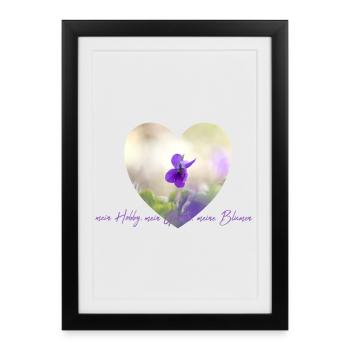 Fleur coeur violettes en pastel lumière jardin fleurs - Affiche encadrée (27 × 37 cm) - noir - Devant