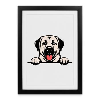 Insigne de nom Kangal coloré - Affiche encadrée (27 × 37 cm) - noir - Devant