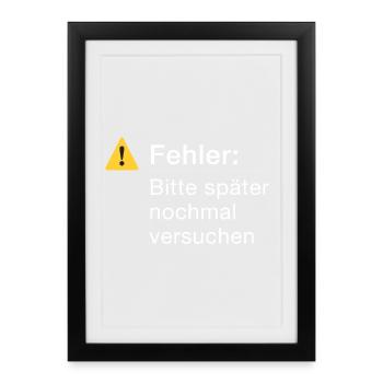 Fehler: Bitte noch einmal versuchen Informatik - Gerahmtes Poster (27 × 37 cm) - Schwarz - Vorne