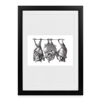 Vampire owl and bats - Framed poster (27 × 37 cm) - black - Front