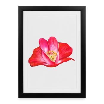 Coquelicot rouge en forme de cœur - Affiche encadrée (27 × 37 cm) - noir - Devant