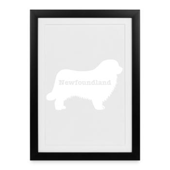 Terre-Neuve - Affiche encadrée (27 × 37 cm) - noir - Devant