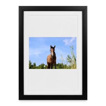 Horse Horse Poster - Framed poster (27 × 37 cm) - black - Front