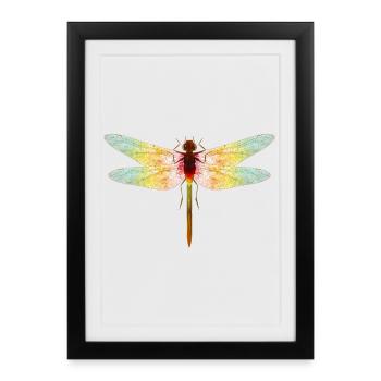 Libellule irisée – motif insecte en filigrane - Affiche encadrée (27 × 37 cm) - noir - Devant