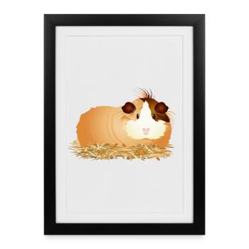 Cochon d’Inde mignon allongé confortablement dans la paille - Affiche encadrée (27 × 37 cm) - noir - Devant