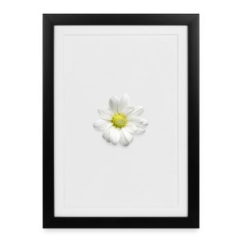 Imprimé de marguerites blanches - Fleurs douces - Marguerites - Affiche encadrée (27 × 37 cm) - noir - Devant