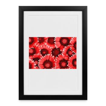 Motif des Fleurs Rouges - Affiche encadrée (27 × 37 cm) - noir - Devant
