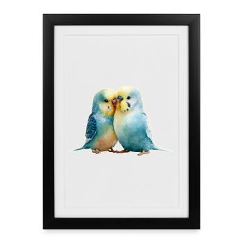 Budgies - Framed poster (27 × 37 cm) - black - Front