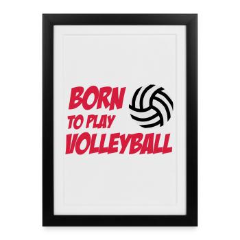 Born to play Volleyball - Affiche encadrée (27 × 37 cm) - noir - Devant