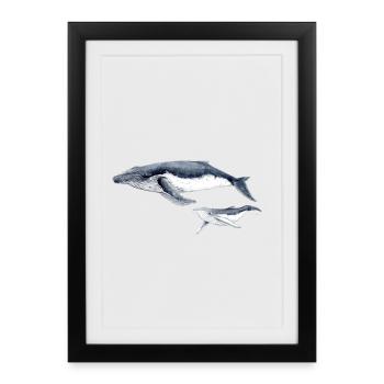 baleine à bosse - baleine à la baleine à bosse Bosse - Affiche encadrée (27 × 37 cm) - noir - Devant