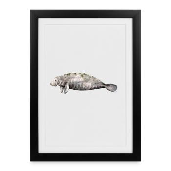 Manati - Manatee - Lamantin - Affiche encadrée (27 × 37 cm) - noir - Devant